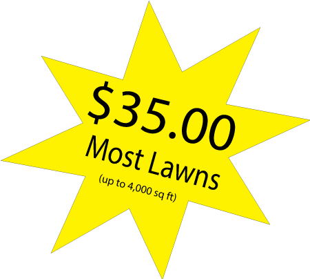 $35 Most Lawn up to 4,000 sq ft