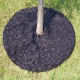 Picture of Mulch