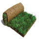 Picture of sod
